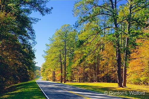 Natchez Trace Parkway_25088.jpg - Photographed in autumn along the Natchez Trace Parkway in Mississippi, USA.